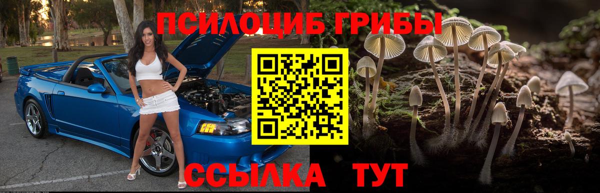 Галлюциногенные грибы мухоморы  Псилоцибиновые грибы MAGIC MUSHROOMS  Ковров  Вход с VPN 