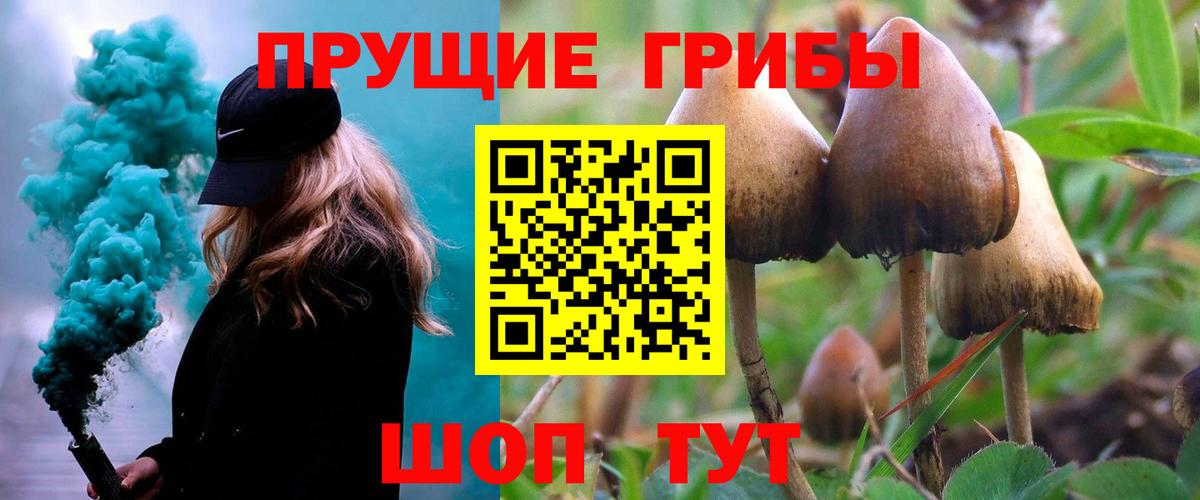 Псилоцибиновые грибы Magic Shrooms Ковров
