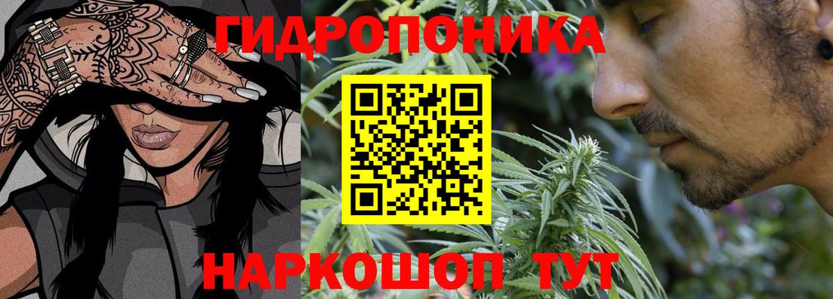 Каннабис VHQ  Шишки марихуана MAZAR  Вход с VPN  Ковров  МАРИХУАНА White Widow 